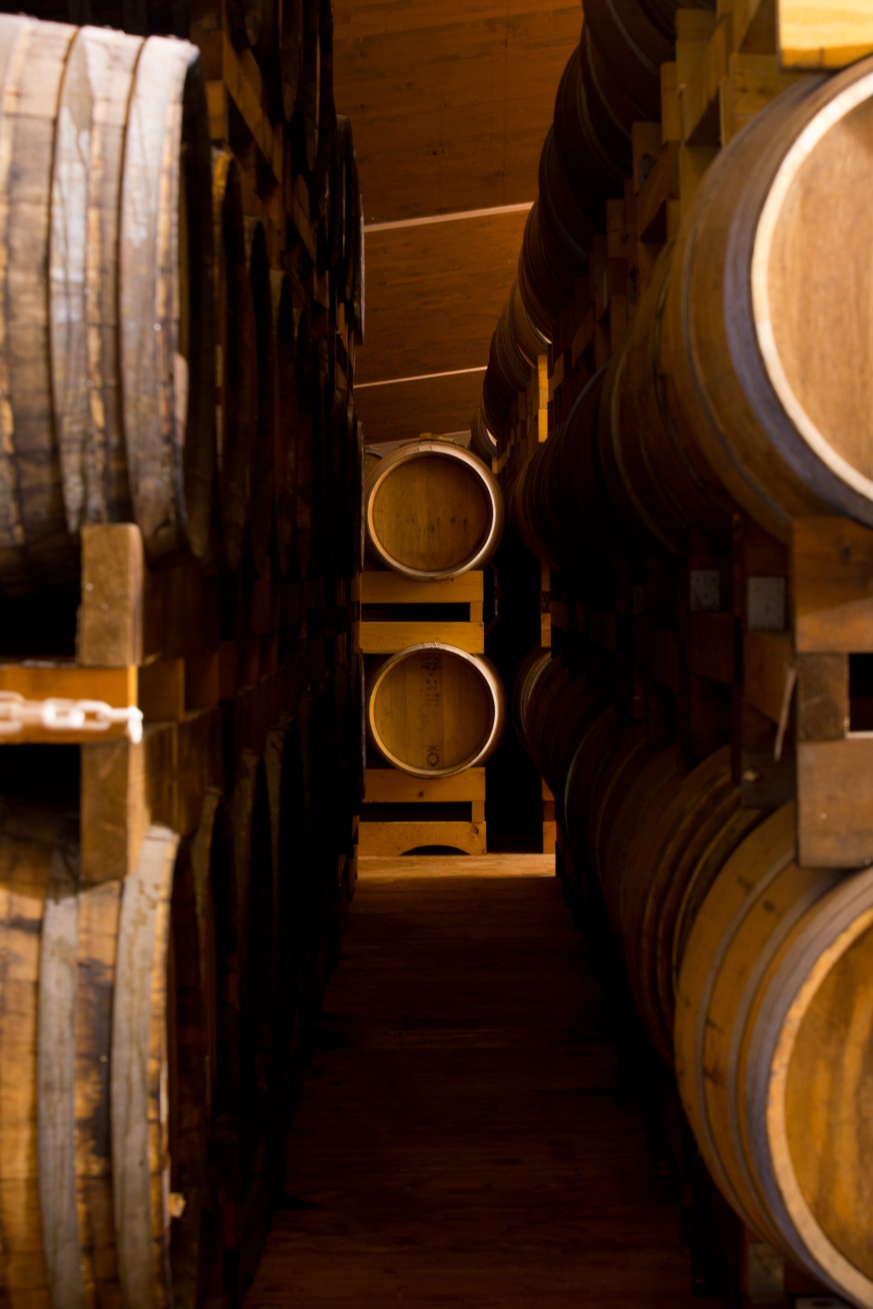 LA SOSTENIBILITÀ DELL’ACETO BALSAMICO DI MODENA IGP:  UN PERCORSO DI VALORE PER IL FUTURO