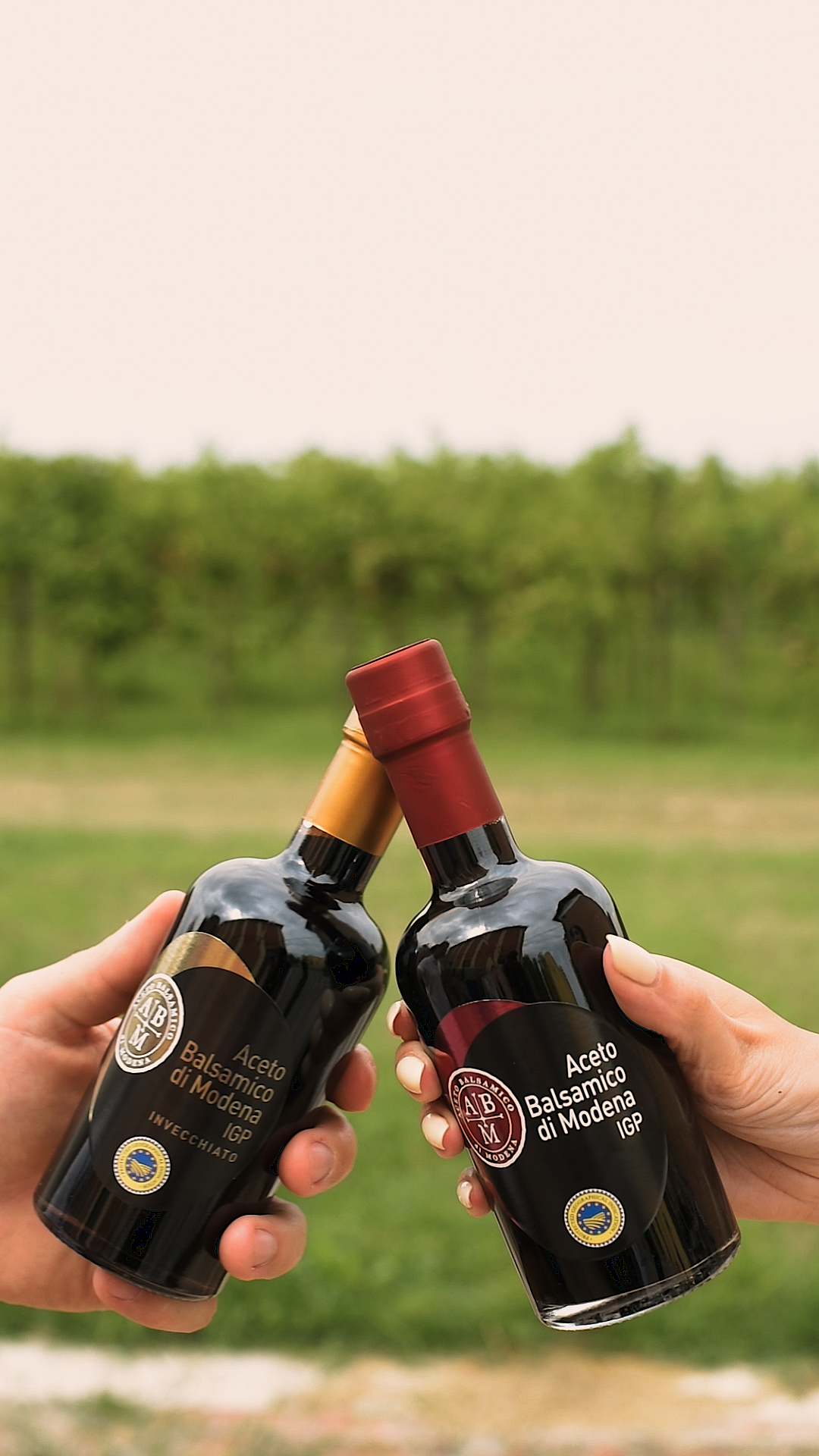 L’ACETO BALSAMICO DI MODENA IGP AL CONCERTO DI LUCIANO LIGABUE AL CAMPOVOLO DI REGGIO EMILIA