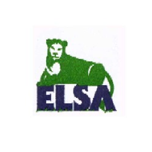 ELSA DI DOMENEGHETTI MAURIZIO SOCIETÀ AGRICOLA SS