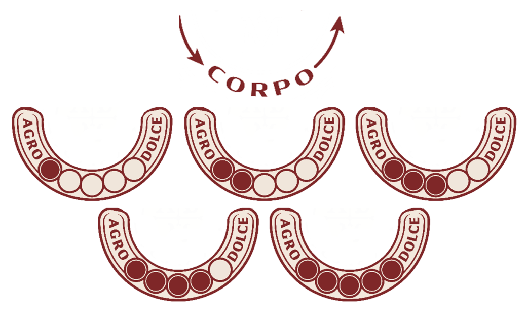 Consortium Profile: i cinque livelli del corpo, da agro a dolce